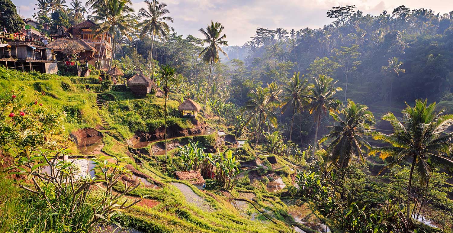 Carol Voyages - Indonésie - Bali