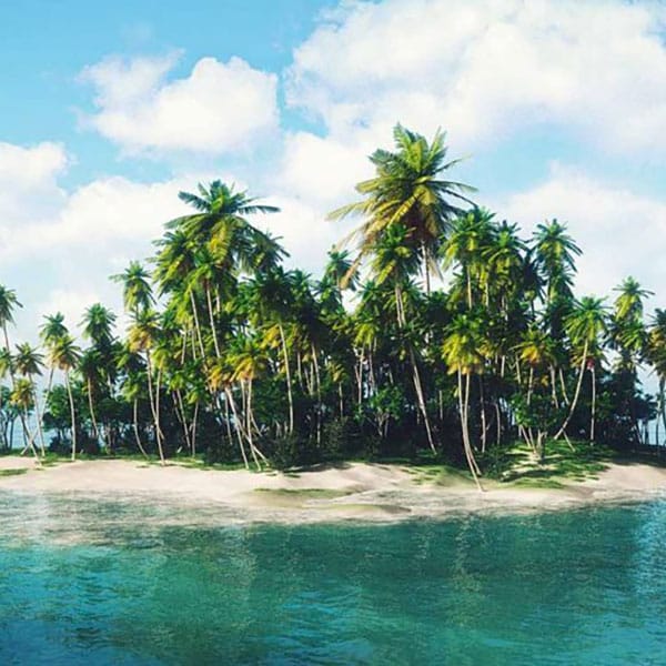 Selectour Carol' Voyages Nous vous ferons aimer le monde ile du monde