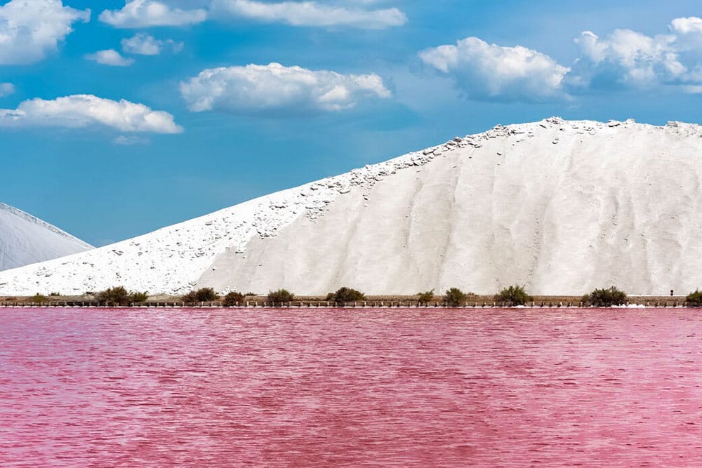 Selectour Carol' Voyages Nous vous ferons aimer le monde france la camargue aigues mortes