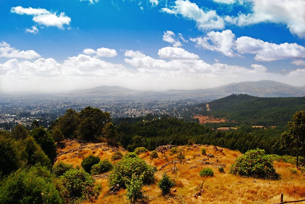 Selectour Carol' Voyages Nous vous ferons aimer le monde ethiopie entoto
