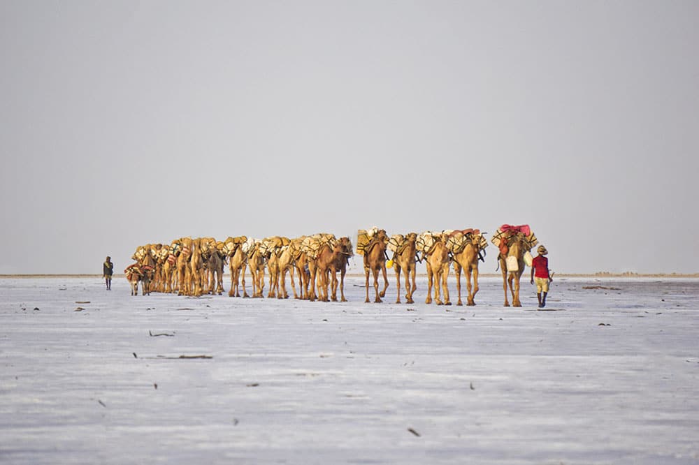Selectour Carol' Voyages Nous vous ferons aimer le monde ethiopie karum