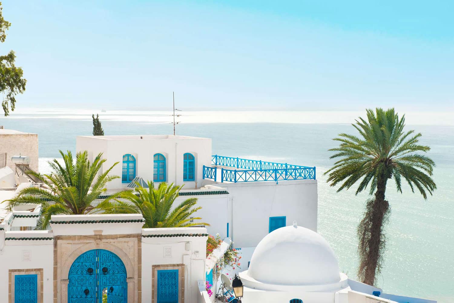 Carol Voyages - Agences de voyage - Afrique du Nord et Proche Orient - Voyage en Tunisie