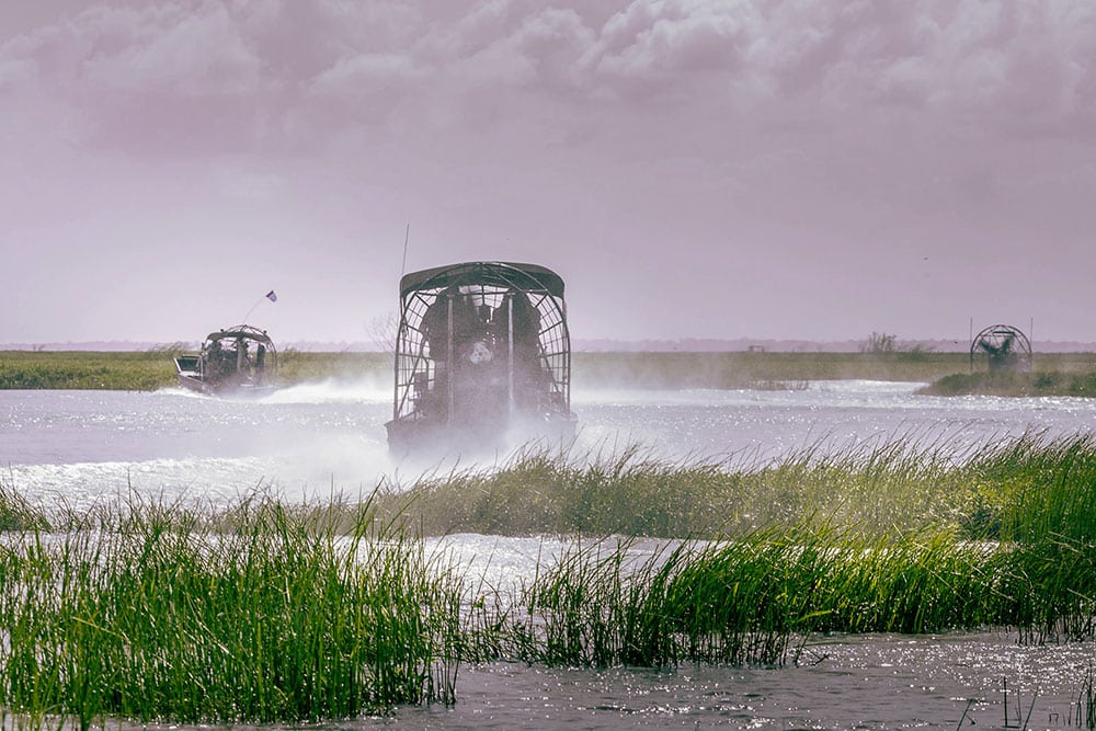 Selectour Carol' Voyages Nous vous ferons aimer le monde usa everglades 2