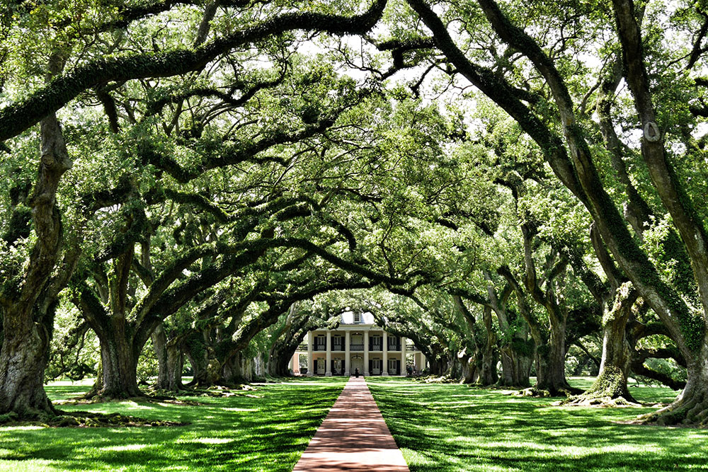 Selectour Carol' Voyages Nous vous ferons aimer le monde usa nouvelle orleans 4