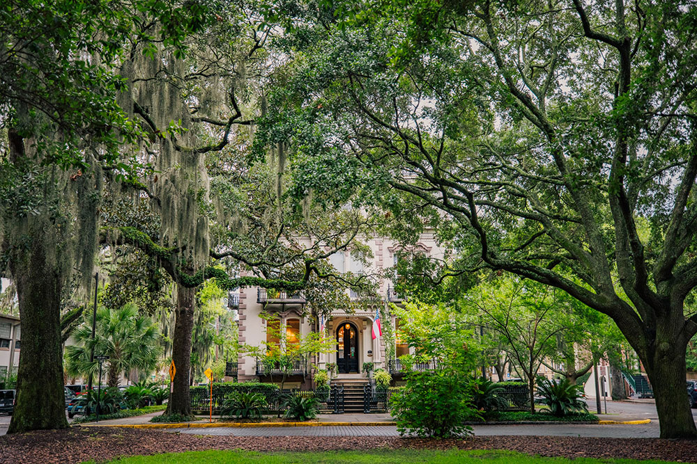 Selectour Carol' Voyages Nous vous ferons aimer le monde usa savannah