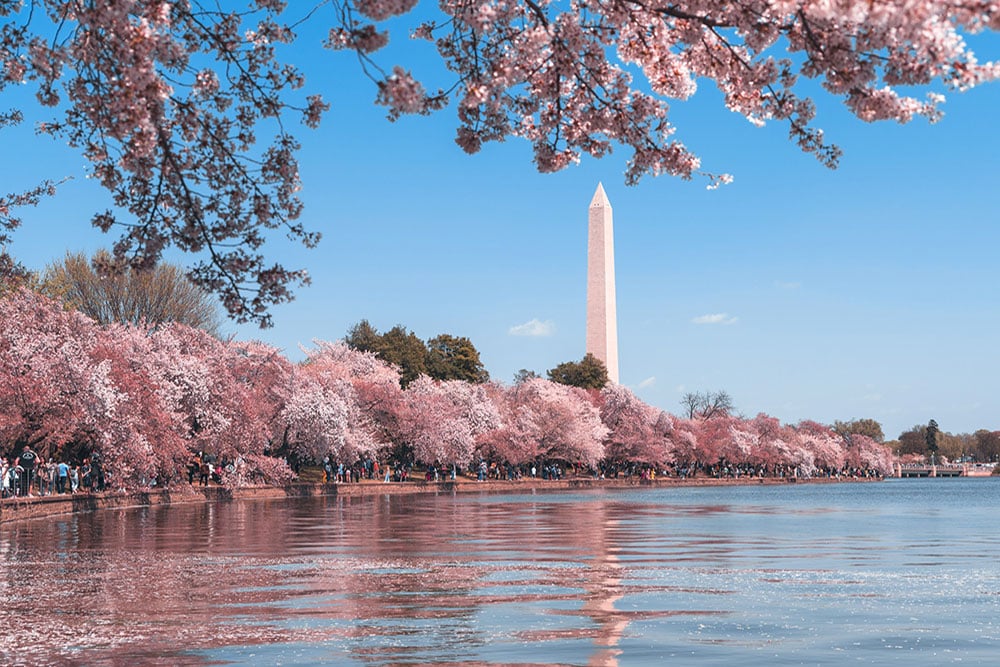 Selectour Carol' Voyages Nous vous ferons aimer le monde usa washington 2
