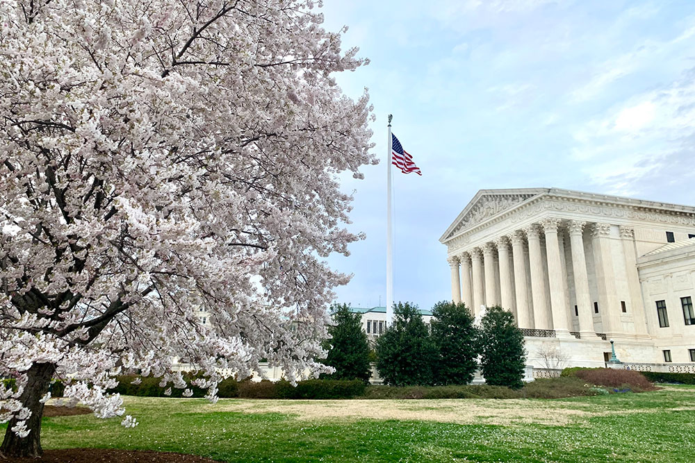 Selectour Carol' Voyages Nous vous ferons aimer le monde usa washington 3
