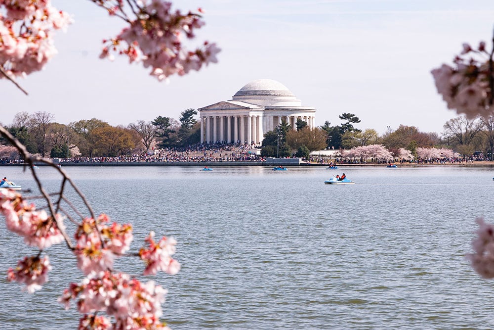 Selectour Carol' Voyages Nous vous ferons aimer le monde usa washington 7