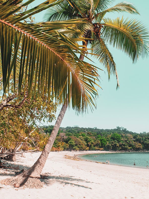 Carol Voyages - Agences de voyage - Amérique latine - Voyage au Costa Rica