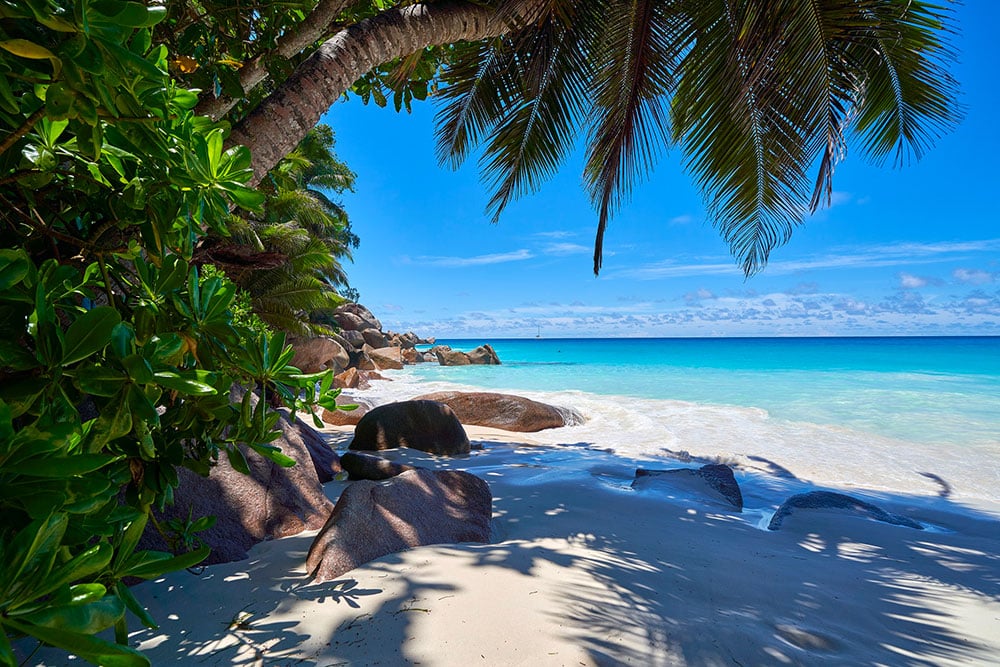 Selectour Carol' Voyages Nous vous ferons aimer le monde seychelles 1