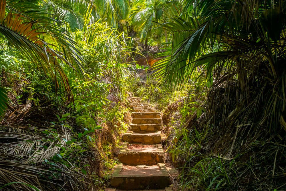 Selectour Carol' Voyages Nous vous ferons aimer le monde seychelles praslin