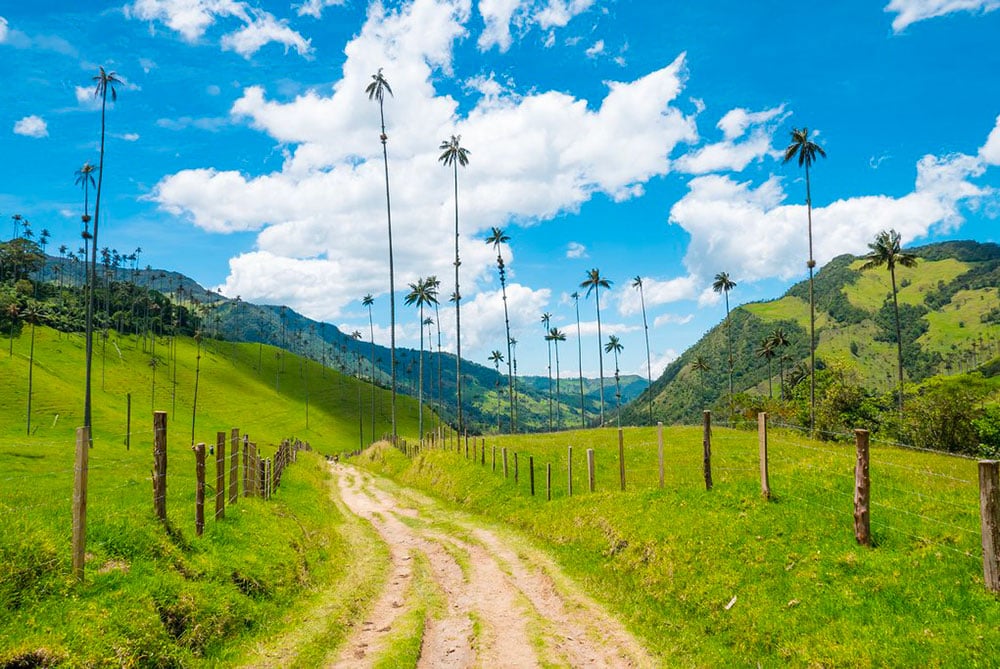Selectour Carol' Voyages Nous vous ferons aimer le monde colombie cocora valley 2
