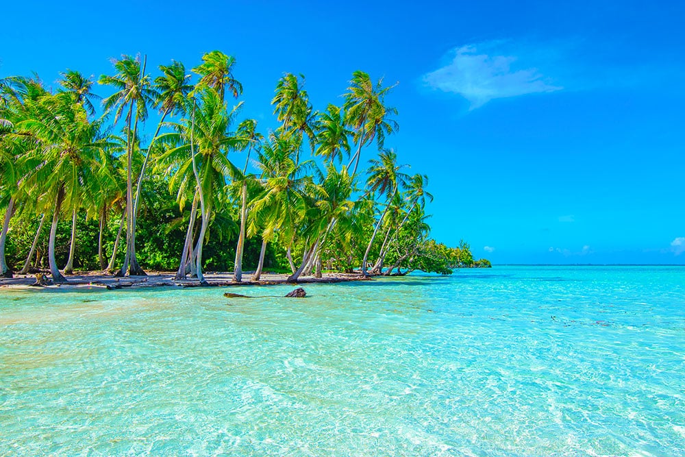 Selectour Carol' Voyages Nous vous ferons aimer le monde ploynesie francaise raiatea