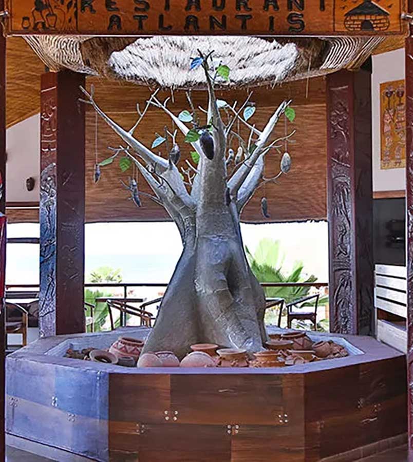 Selectour Carol' Voyages Nous vous ferons aimer le monde kappa club royal horizon senegal 10