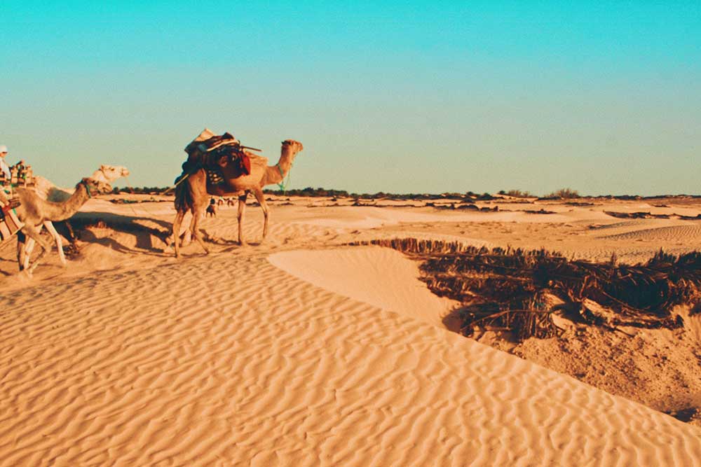 Selectour Carol' Voyages Nous vous ferons aimer le monde tunisie sahara