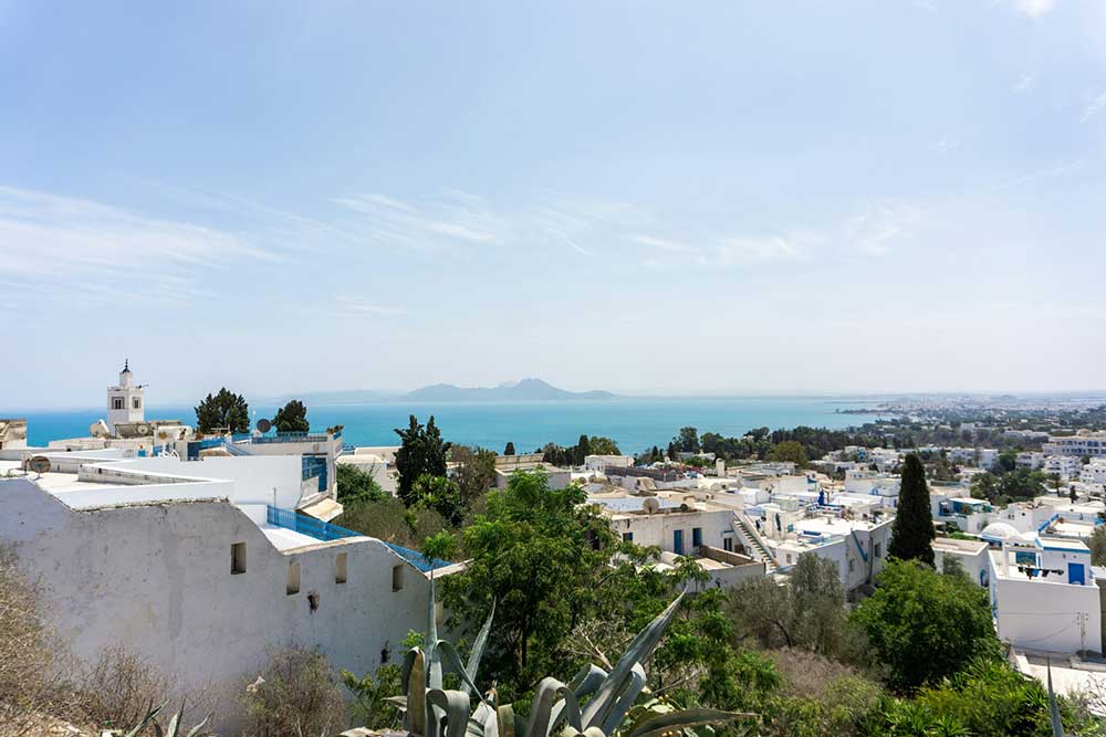 Selectour Carol' Voyages Nous vous ferons aimer le monde tunisie sidi bou said 2