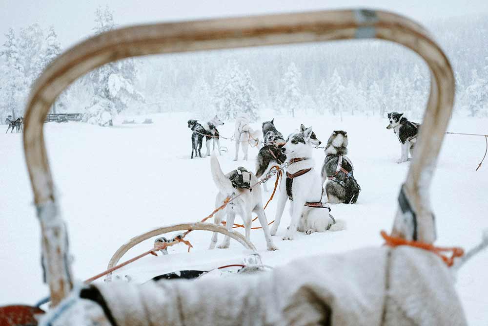 Selectour Carol' Voyages Nous vous ferons aimer le monde finlande ranua