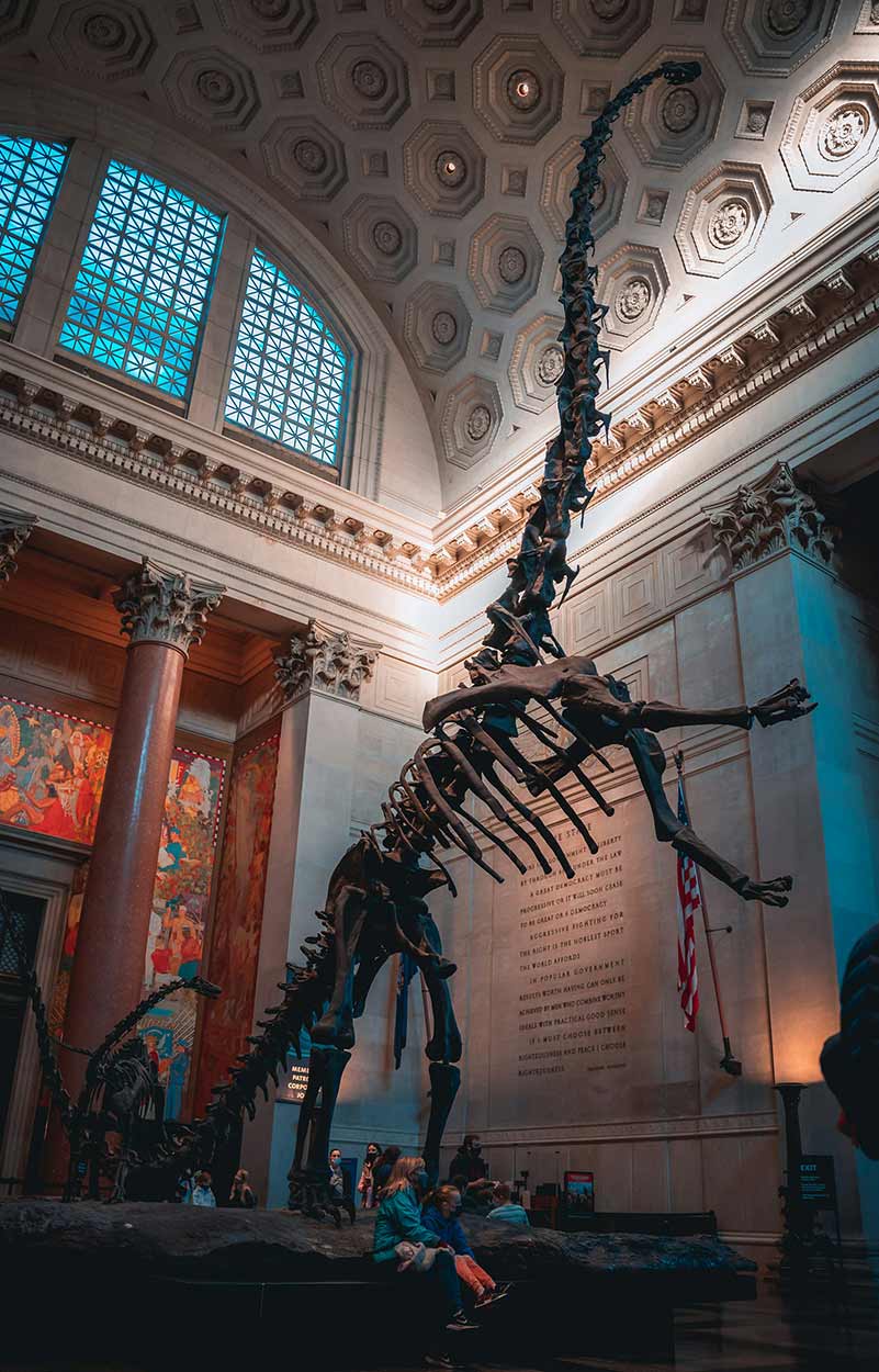 Selectour Carol' Voyages Nous vous ferons aimer le monde usa new york upper west side museum of natural history 5