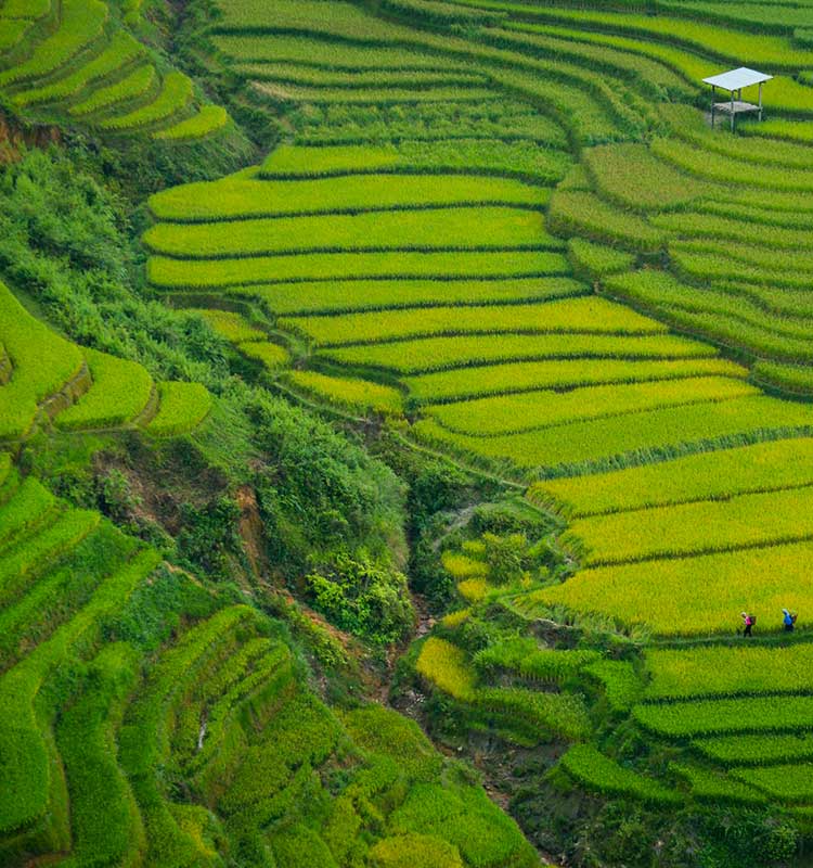 Selectour Carol' Voyages Nous vous ferons aimer le monde carol voyages rse 2