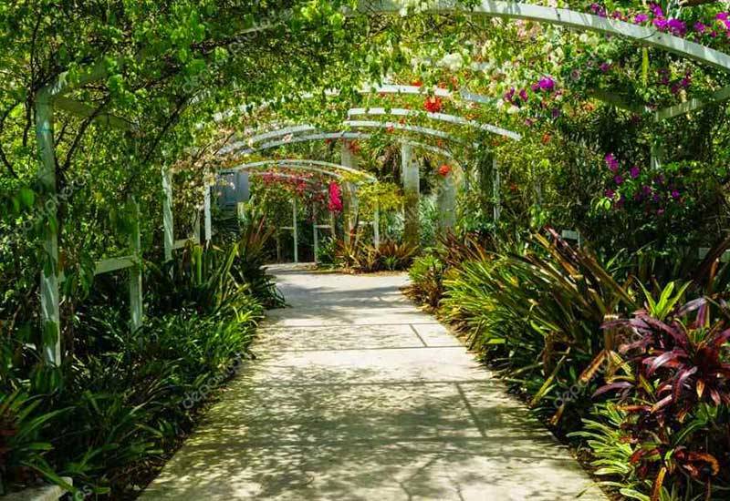 Selectour Carol' Voyages Nous vous ferons aimer le monde jardin botanique 1