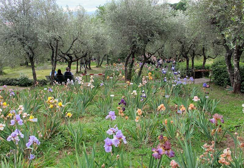 Selectour Carol' Voyages Nous vous ferons aimer le monde giardino dell iris