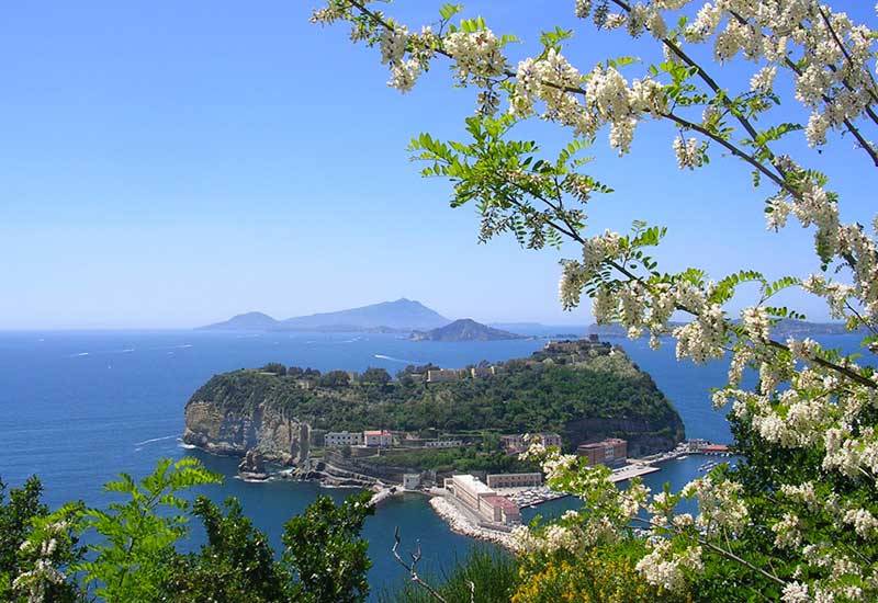 Selectour Carol' Voyages Nous vous ferons aimer le monde parco virgiliano